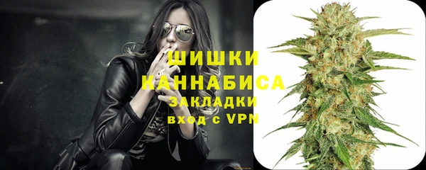 шишки Переславль-Залесский