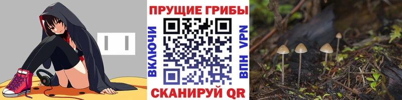 купить   Ковылкино  Псилоцибиновые грибы ЛСД 