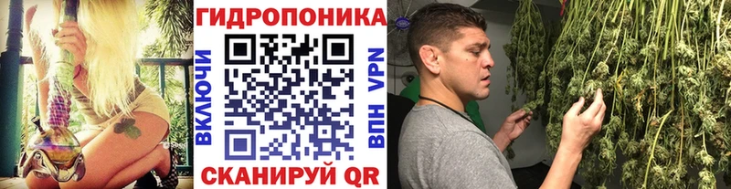 Шишки марихуана OG Kush  MEGA онион  Ковылкино 